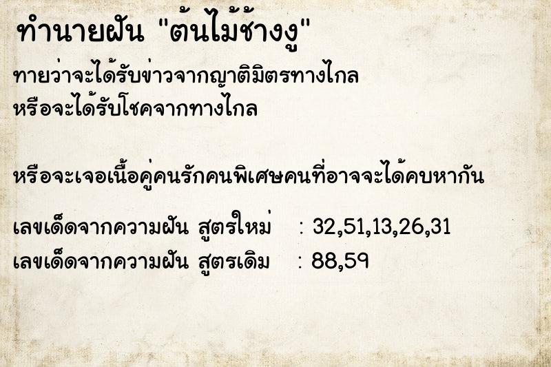 ทำนายฝันต้นไม้ช้างงู ทำนายฝันทำนายฝันต้นไม้ช้างงู