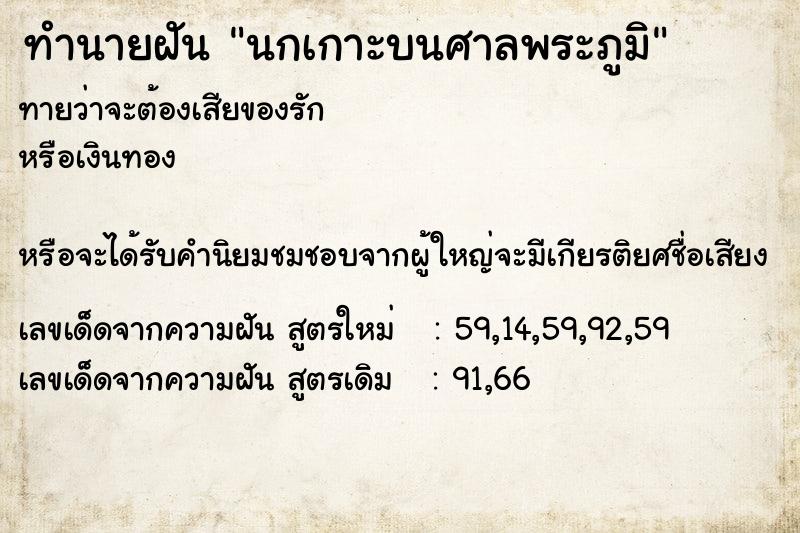 ทำนายฝัน นกเกาะบนศาลพระภูมิ