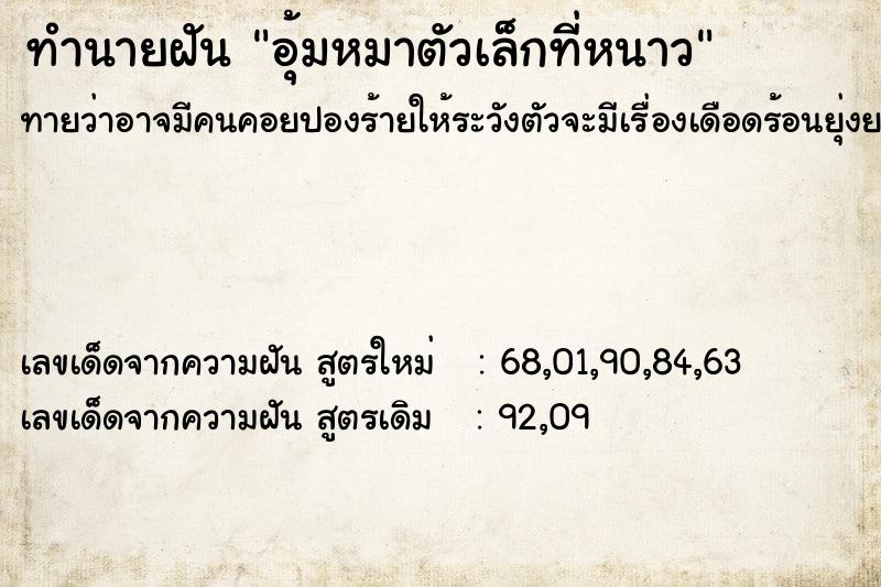 ทำนายฝันอุ้มหมาตัวเล็กที่หนาว ทำนายฝันทำนายฝันอุ้มหมาตัวเล็กที่หนาว