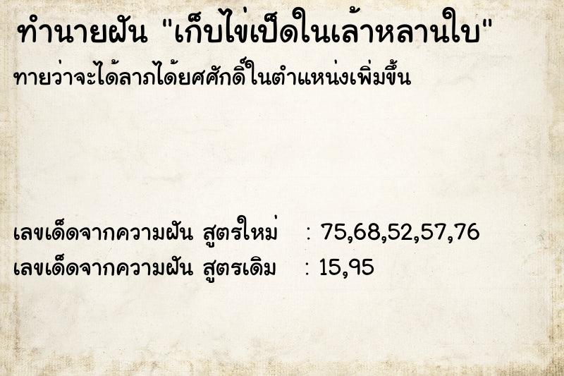 ทำนายฝันเก็บไข่เป็ดในเล้าหลานใบ ทำนายฝันทำนายฝันเก็บไข่เป็ดในเล้าหลานใบ