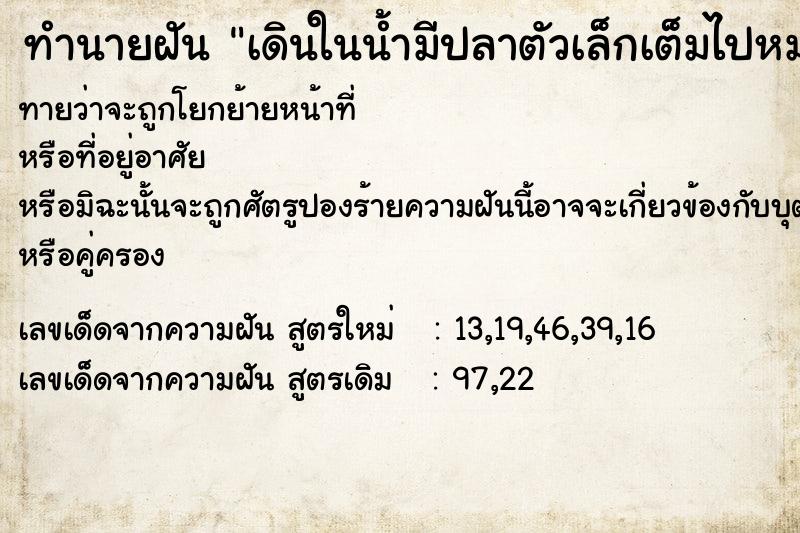 ทำนายฝันเดินในน้ำมีปลาตัวเล็กเต็มไปหมด ทำนายฝันทำนายฝันเดินในน้ำมีปลาตัวเล็กเต็มไปหมด
