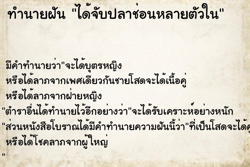 ทำนายฝัน ได้จับปลาช่อนหลายตัวใน ทำนายฝัน ได้จับปลาช่อนหลายตัวใน