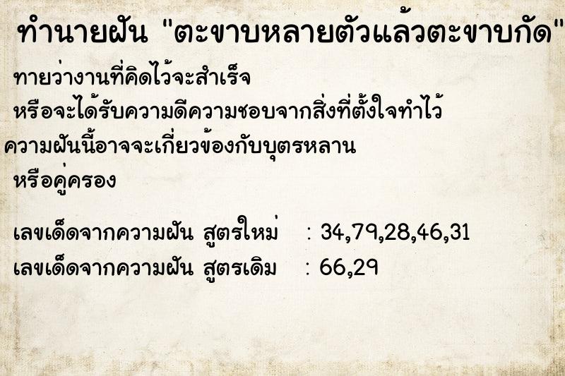 ทำนายฝันตะขาบหลายตัวแล้วตะขาบกัด ทำนายฝันทำนายฝันตะขาบหลายตัวแล้วตะขาบกัด