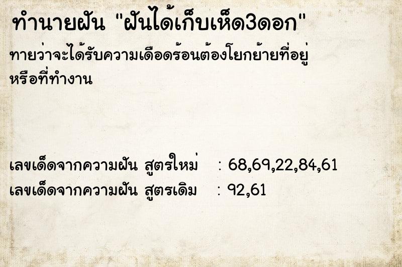 ทำนายฝันฝันได้เก็บเห็ด3ดอก ทำนายฝันทำนายฝันฝันได้เก็บเห็ด3ดอก
