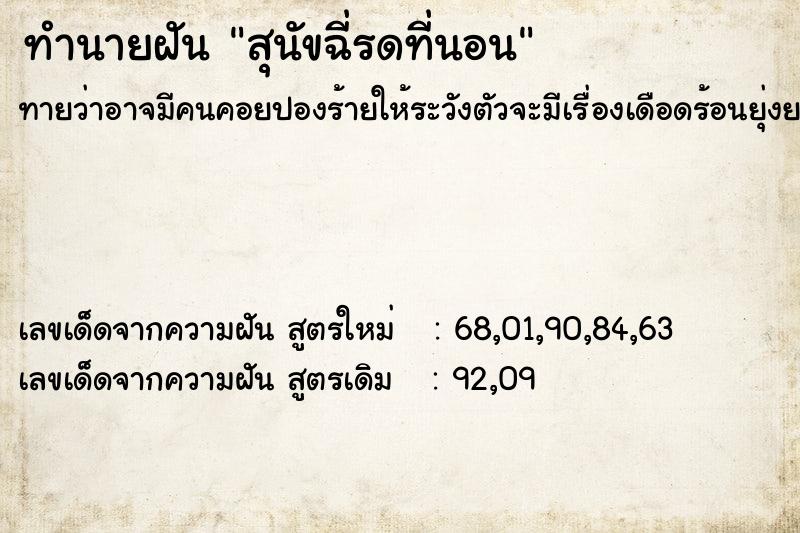 ทำนายฝันสุนัขฉี่รดที่นอน ทำนายฝันทำนายฝันสุนัขฉี่รดที่นอน