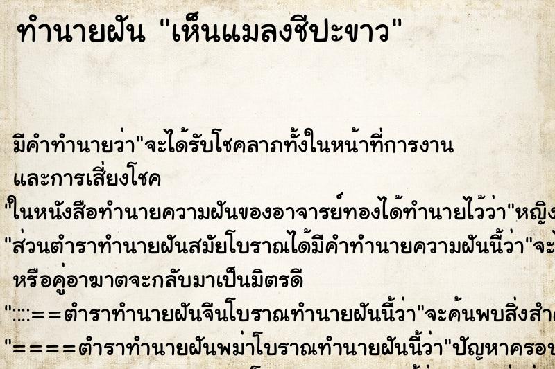 ทำนายฝันทำนายฝันเห็นแมลงชีปะขาว