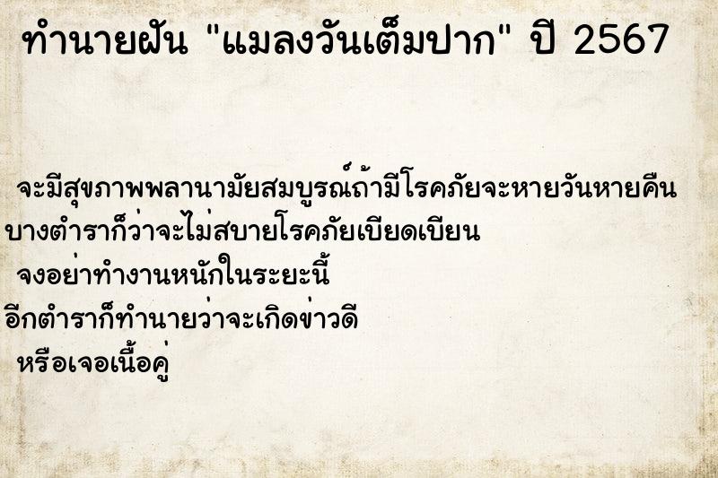 ทำนายฝัน แมลงวันเต็มปาก ทำนายฝัน แมลงวันเต็มปาก