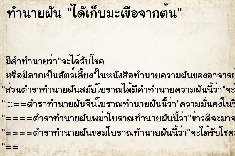 ทำนายฝัน ไดัเก็บมะเขือจากต้น ทำนายฝัน ไดัเก็บมะเขือจากต้น