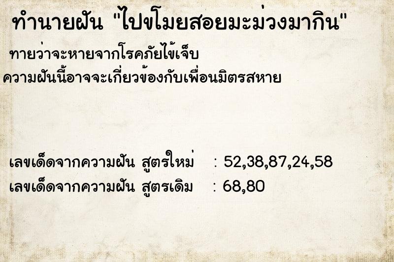 ทำนายฝันไปขโมยสอยมะม่วงมากิน ทำนายฝันทำนายฝันไปขโมยสอยมะม่วงมากิน
