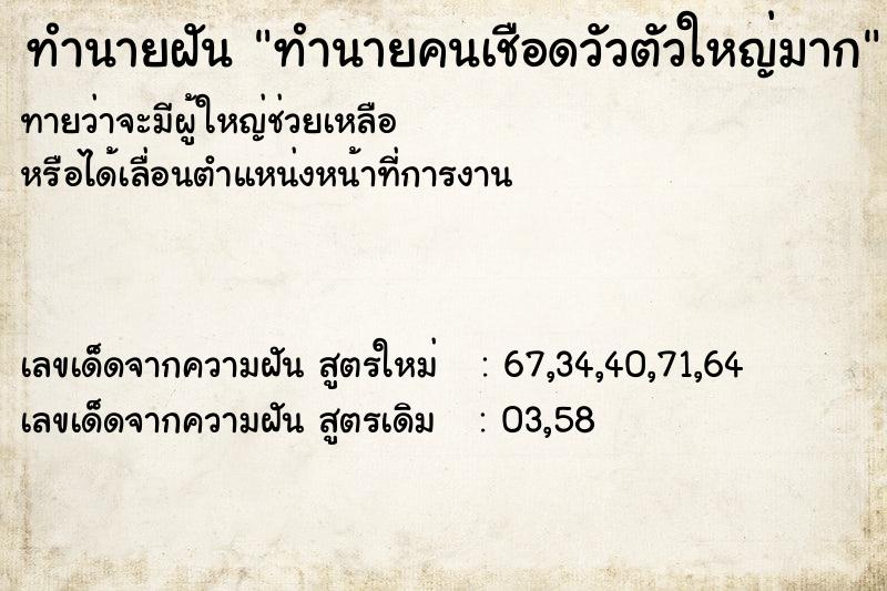 ทำนายฝันทำนายคนเชือดวัวตัวใหญ่มาก ทำนายฝันทำนายฝันทำนายคนเชือดวัวตัวใหญ่มาก