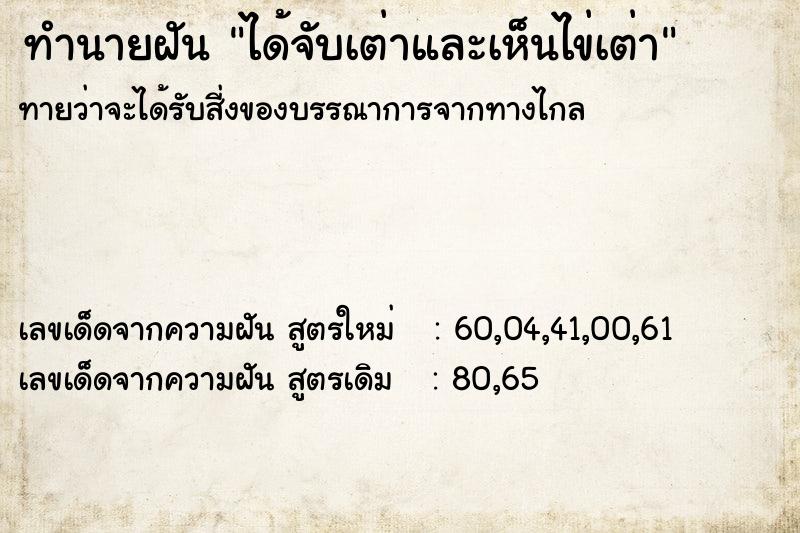ทำนายฝันได้จับเต่าและเห็นไข่เต่า ทำนายฝันทำนายฝันได้จับเต่าและเห็นไข่เต่า