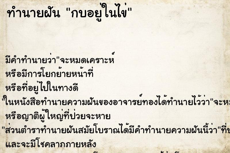 ทำนายฝันกบอยู่ในไข่ ทำนายฝันทำนายฝันกบอยู่ในไข่