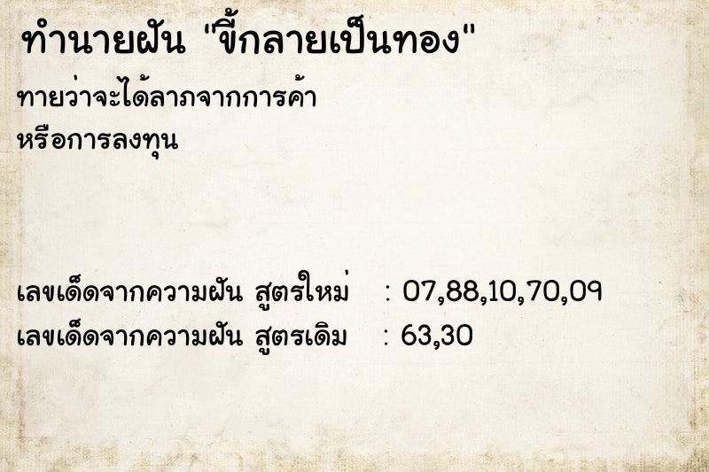 ทำนายฝัน ขี้กลายเป็นทอง ตำราโบราณ แม่นที่สุดในโลก