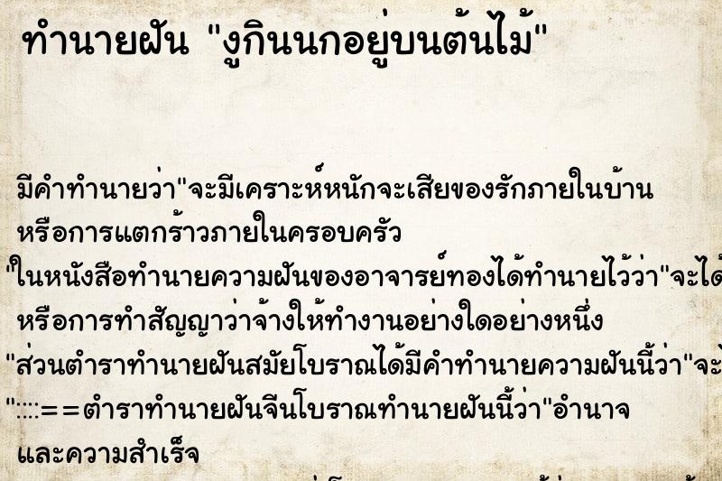 ทำนายฝันงูกินนกอยู่บนต้นไม้ ทำนายฝันทำนายฝันงูกินนกอยู่บนต้นไม้