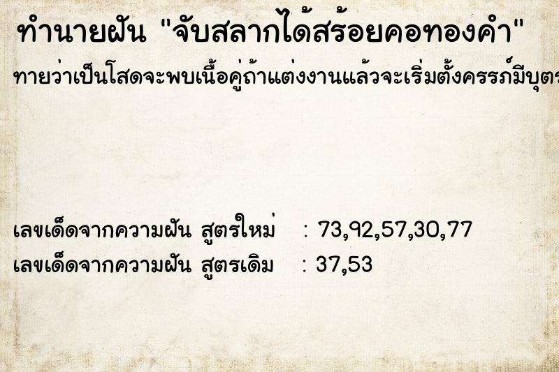 ทำนายฝันจับสลากได้สร้อยคอทองคำ ทำนายฝันทำนายฝันจับสลากได้สร้อยคอทองคำ