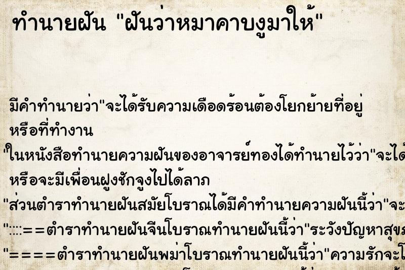 ทำนายฝัน ฝันว่าหมาคาบงูมาให้ ทำนายฝัน ฝันว่าหมาคาบงูมาให้