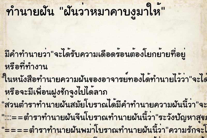 ทำนายฝัน ฝันว่าหมาคาบงูมาให้ ตำราโบราณ แม่นที่สุดในโลก