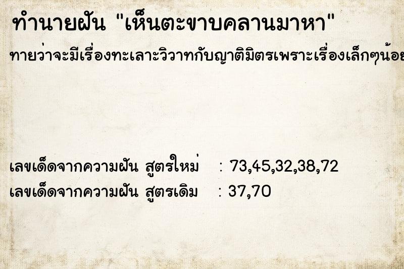 ทำนายฝันเห็นตะขาบคลานมาหา ทำนายฝันทำนายฝันเห็นตะขาบคลานมาหา