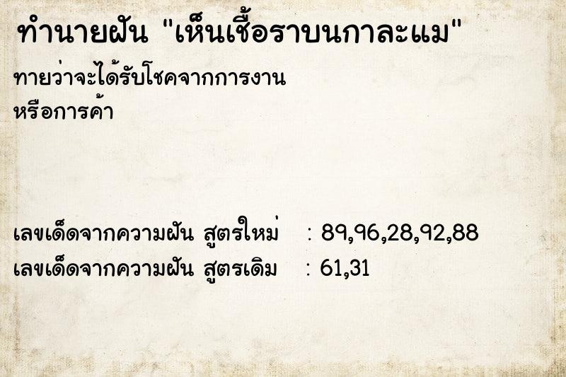 ทำนายฝันเห็นเชื้อราบนกาละแม ทำนายฝันทำนายฝันเห็นเชื้อราบนกาละแม