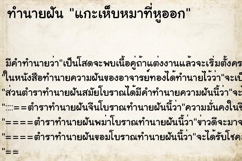 ทำนายฝันแกะเห็บหมาที่หูออก ทำนายฝันทำนายฝันแกะเห็บหมาที่หูออก