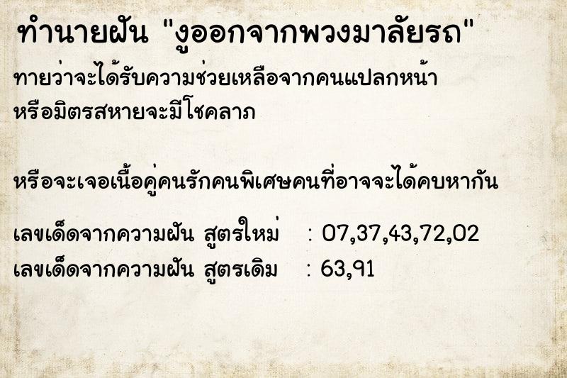 ทำนายฝัน งูออกจากพวงมาลัยรถ