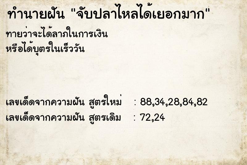 ทำนายฝันจับปลาไหลได้เยอกมาก ทำนายฝันทำนายฝันจับปลาไหลได้เยอกมาก