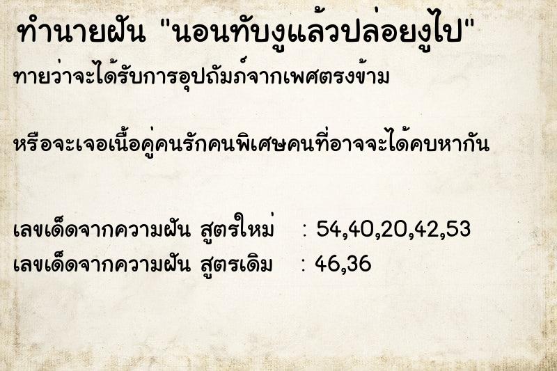 ทำนายฝันนอนทับงูแล้วปล่อยงูไป ทำนายฝันทำนายฝันนอนทับงูแล้วปล่อยงูไป