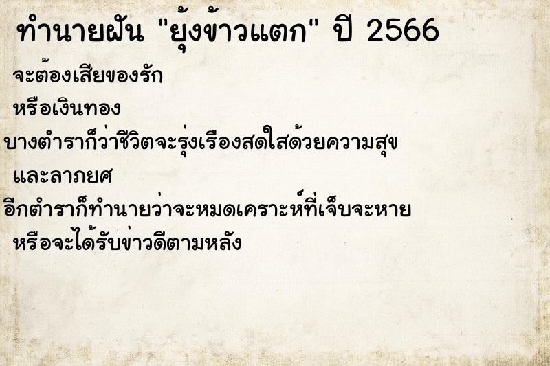 ทำนายฝัน ยุ้งข้าวแตก ทำนายฝัน ยุ้งข้าวแตก