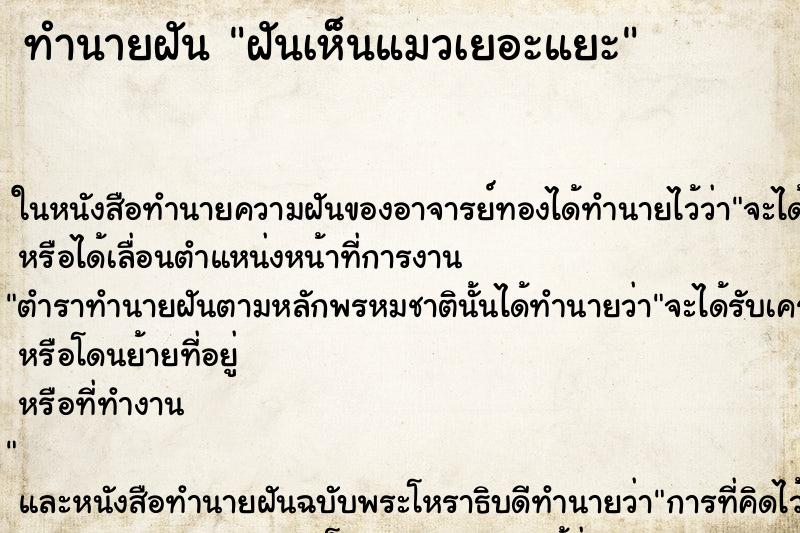 ทำนายฝันฝันเห็นแมวเยอะแยะ ทำนายฝันทำนายฝันฝันเห็นแมวเยอะแยะ