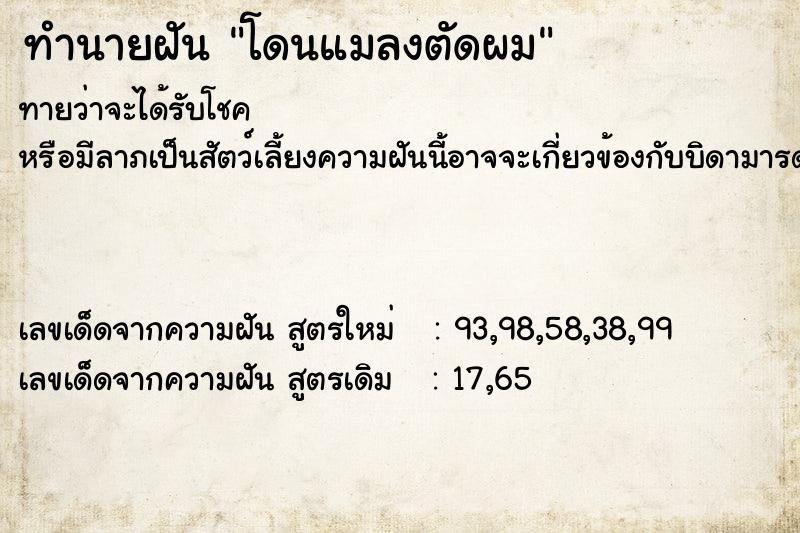 ทำนายฝันโดนแมลงตัดผม ทำนายฝันทำนายฝันโดนแมลงตัดผม