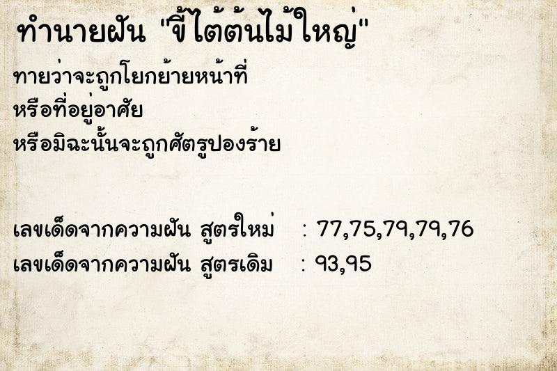 ทำนายฝันทำนายฝันขี้ไต้ต้นไม้ใหญ่