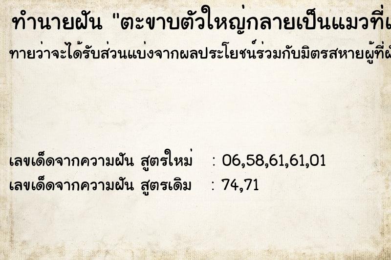 ทำนายฝันทำนายฝันตะขาบตัวใหญ่กลายเป็นแมวที่เลี้ยงไว้