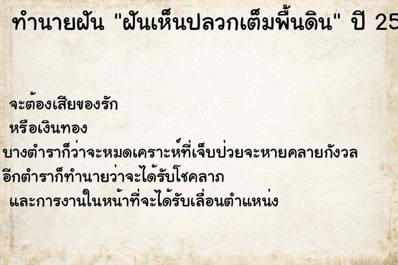 ทำนายฝันฝันเห็นปลวกเต็มพื้นดิน ทำนายฝันทำนายฝันฝันเห็นปลวกเต็มพื้นดิน