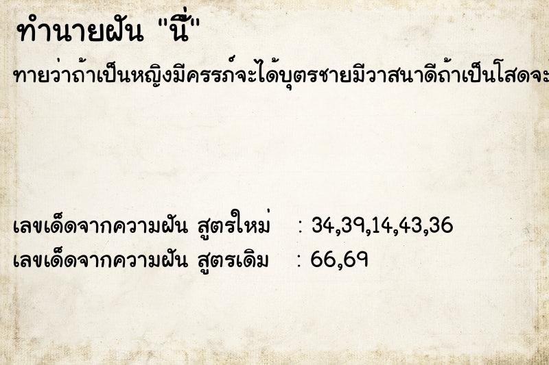 ทำนายฝัน นั่ี ทำนายฝัน นั่ี