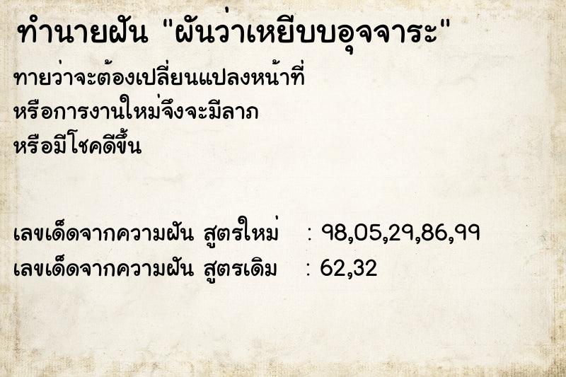 ทำนายฝันผันว่าเหยีบบอุจจาระ ทำนายฝันทำนายฝันผันว่าเหยีบบอุจจาระ