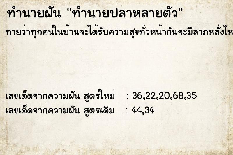 ทำนายฝันทำนายปลาหลายตัว ทำนายฝันทำนายฝันทำนายปลาหลายตัว