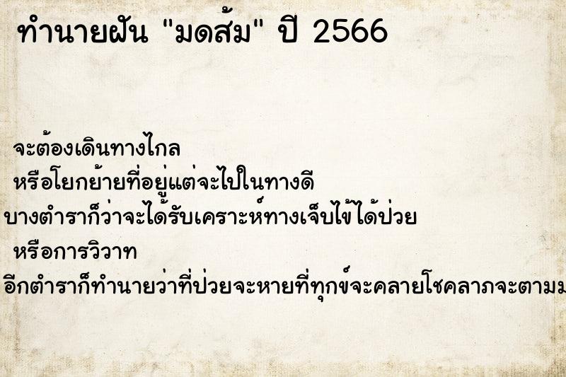 ทำนายฝันมดส้ม ทำนายฝันทำนายฝันมดส้ม