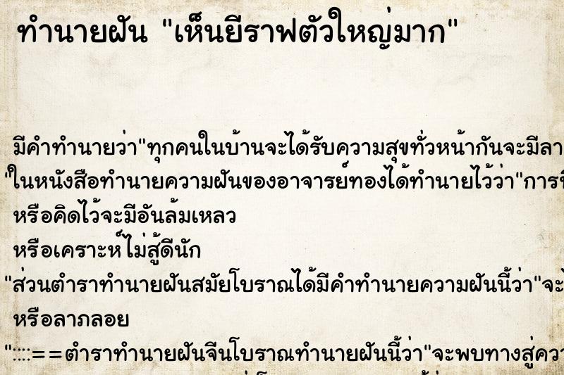 ทำนายฝัน เห็นยีราฟตัวใหญ่มาก ทำนายฝัน เห็นยีราฟตัวใหญ่มาก