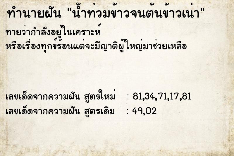 ทำนายฝันน้ำท่วมข้าวจนต้นข้าวเน่า ทำนายฝันทำนายฝันน้ำท่วมข้าวจนต้นข้าวเน่า