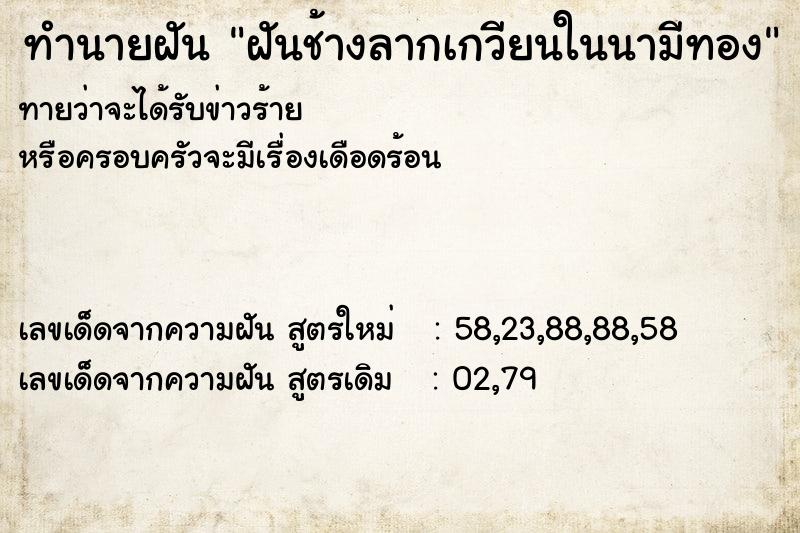 ทำนายฝันทำนายฝันฝันช้างลากเกวียนในนามีทอง
