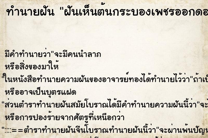 ทำนายฝัน ฝันเห็นต้นกระบองเพชรออกดอก ทำนายฝัน ฝันเห็นต้นกระบองเพชรออกดอก