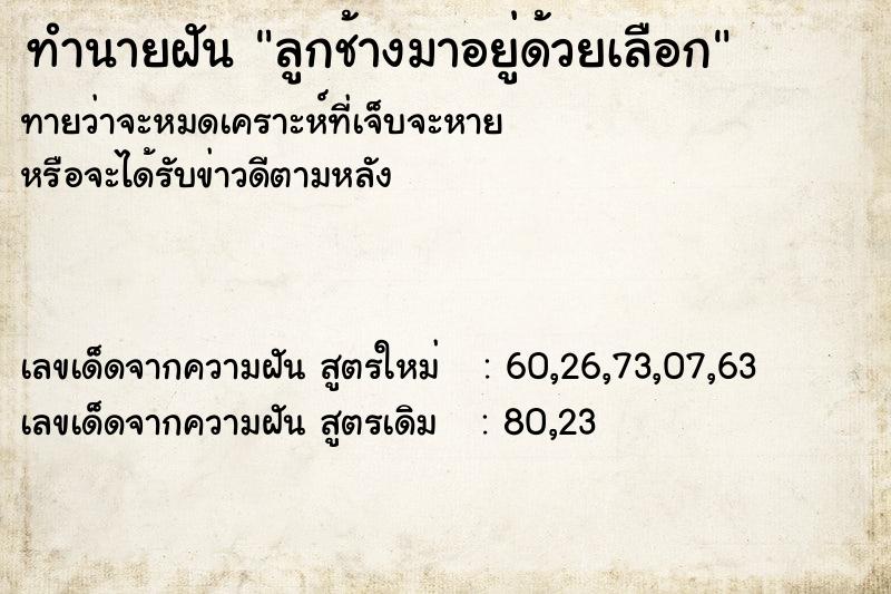 ทำนายฝันลูกช้างมาอยู่ด้วยเลือก ทำนายฝันทำนายฝันลูกช้างมาอยู่ด้วยเลือก