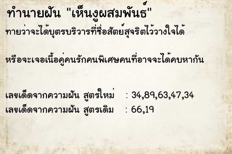 ทำนายฝันเห็นงูผสมพันธ์ ทำนายฝันทำนายฝันเห็นงูผสมพันธ์