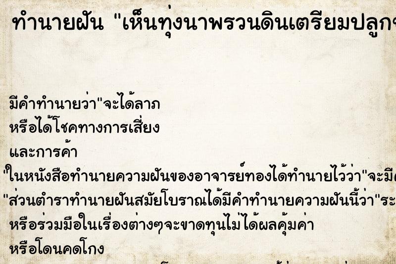 ทำนายฝัน เห็นทุ่งนาพรวนดินเตรียมปลูกข้าว ทำนายฝัน เห็นทุ่งนาพรวนดินเตรียมปลูกข้าว