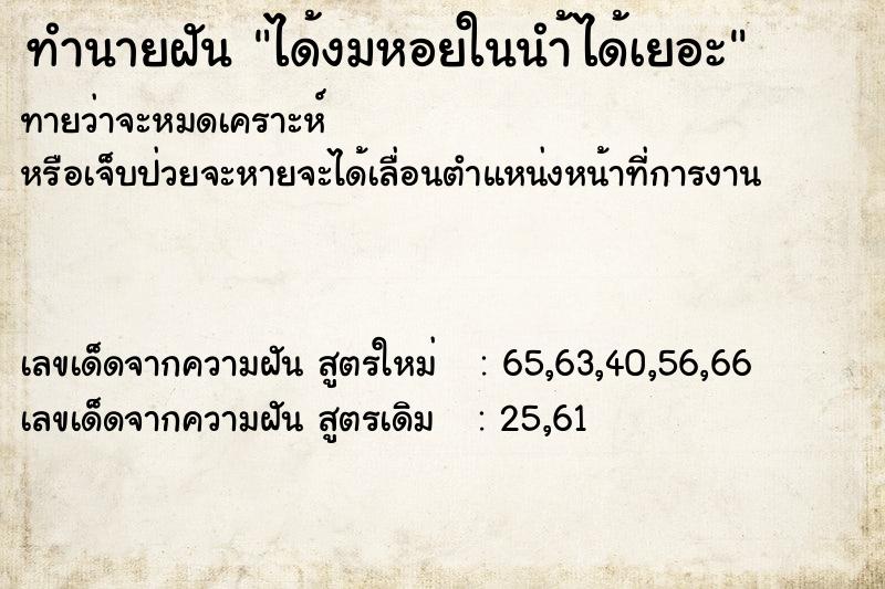ทำนายฝันทำนายฝันได้งมหอยในนำ้ได้เยอะ