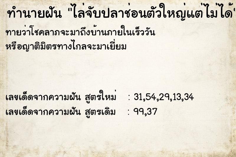 ทำนายฝันไล่จับปลาช่อนตัวใหญ่แต่ไม่ได้ ทำนายฝันทำนายฝันไล่จับปลาช่อนตัวใหญ่แต่ไม่ได้