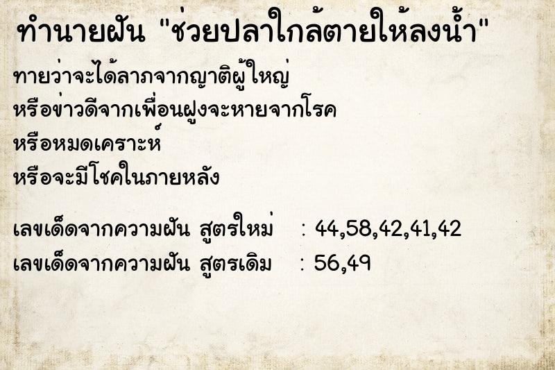 ทำนายฝันทำนายฝันช่วยปลาใกล้ตายให้ลงน้ำ