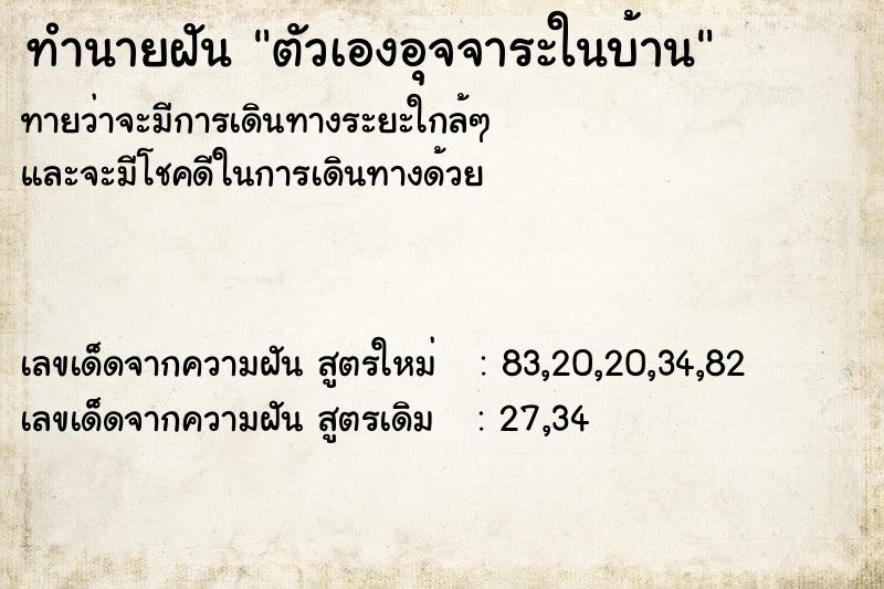 ทำนายฝันตัวเองอุจจาระในบ้าน ทำนายฝันทำนายฝันตัวเองอุจจาระในบ้าน