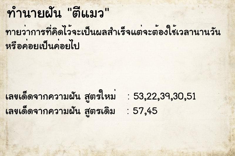 ทำนายฝัน ตีแมว ทำนายฝัน ตีแมว
