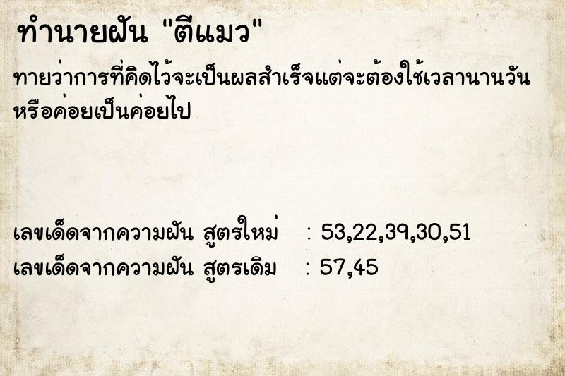 ทำนายฝัน ตีแมว ตำราโบราณ แม่นที่สุดในโลก